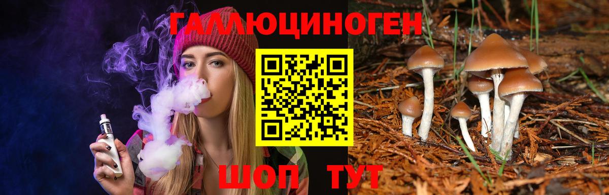 Губкинский  Галлюциногенные грибы Psilocybe  Вход с VPN 